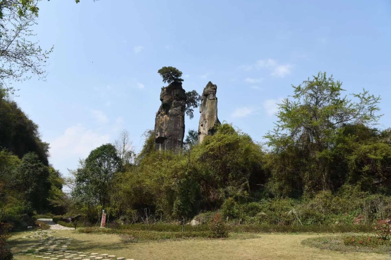 唱歌石林